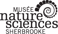 Musée de la nature et des sciences de Sherbrooke. Tous droits réservés