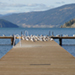 Photo of numerous birds on a wooden dock, a body of water and mountains in the background. 